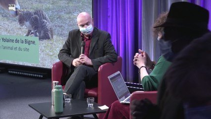 Les chats ont leurs cultures, donc leur histoire