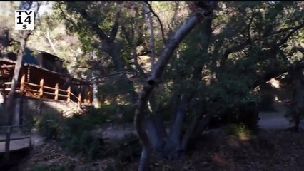 Anatomía de Grey - temporada 18 - episodio 12 Tráiler VO