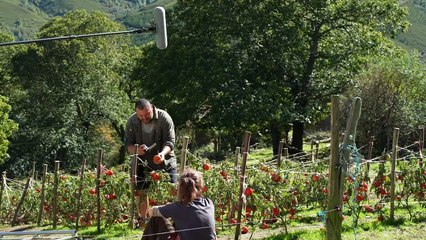 As bestas Cómo se hizo...