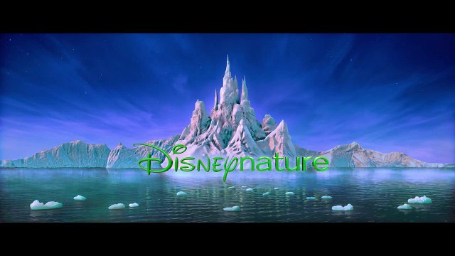 Ours Polaire Bande-annonce VO