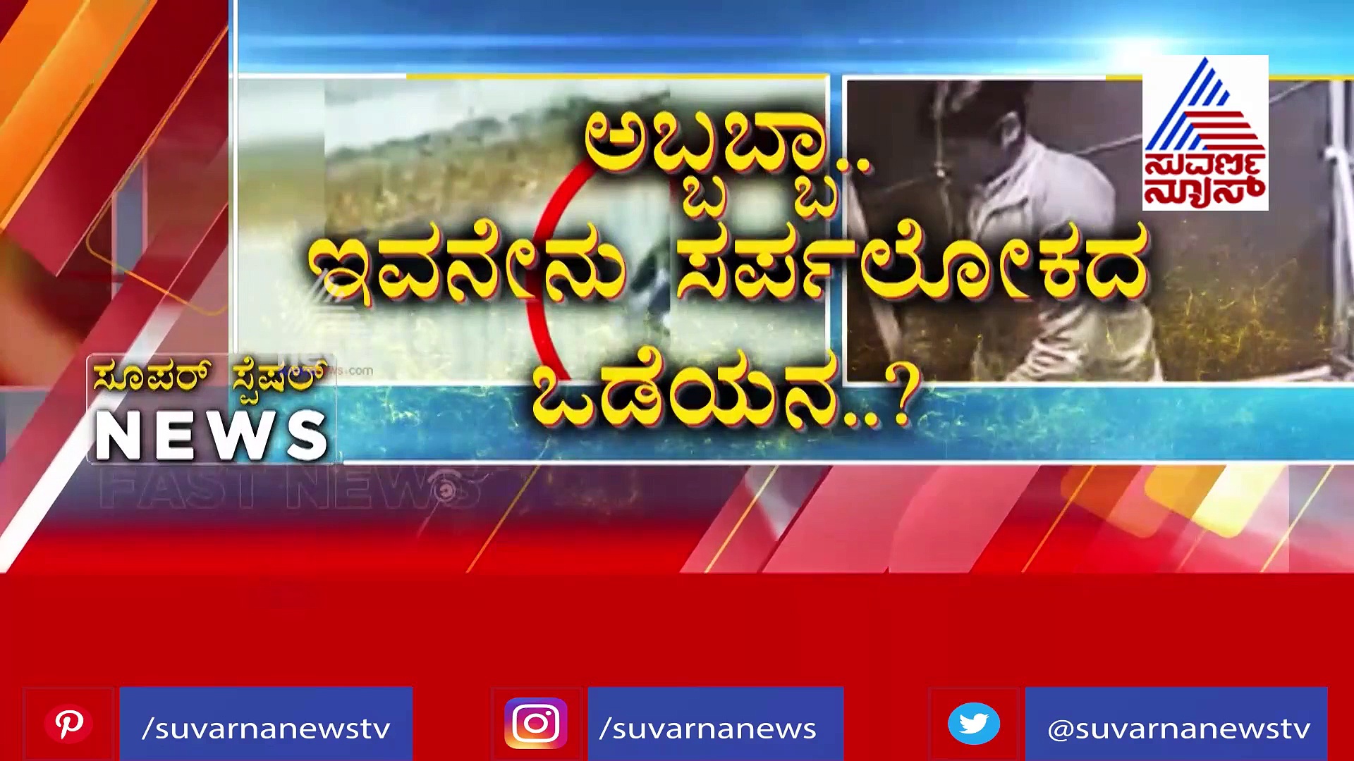 ಎಂಥಾ ವಿಚಿತ್ರ! ಈ ಹಸು ಬೆಂಕಿ ಕೆಂಡವನ್ನೇ ಕಟಂಕಟಂ ಅಂತ ತಿನ್ನುತ್ತೆ!