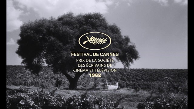 Les Oliviers de la justice Bande-annonce VF