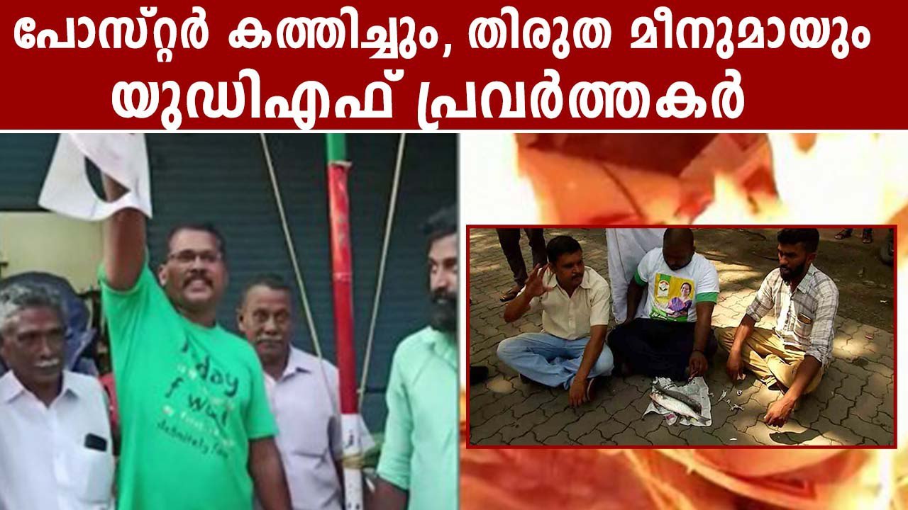 Thrikkakkara By-Poll Results | പോസ്റ്റര്‍ കത്തിച്ചും, തിരുത മീനുമായും UDF പ്രവര്‍ത്തകര്‍ | #Politcs