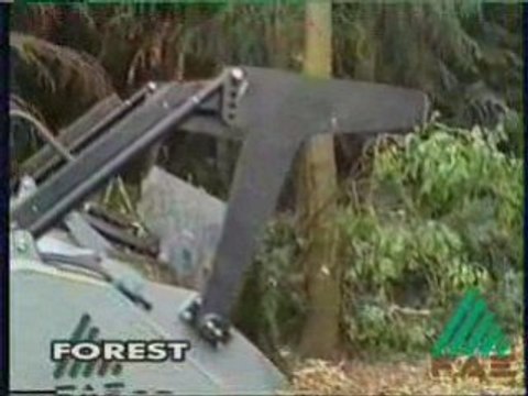 TIMBERCOOP UMH-200 BROYEUR FORESTIER