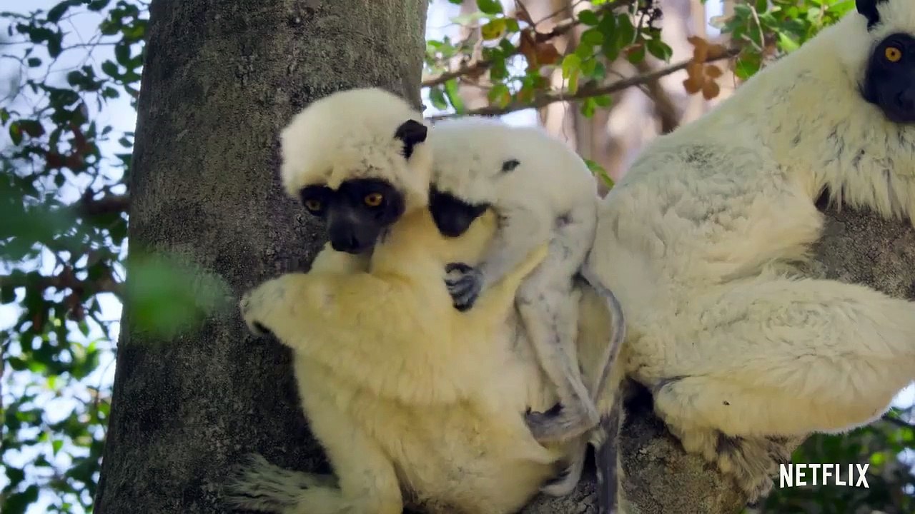 Parcs nationaux : Ces merveilles du monde - saison 1 Bande-annonce VO