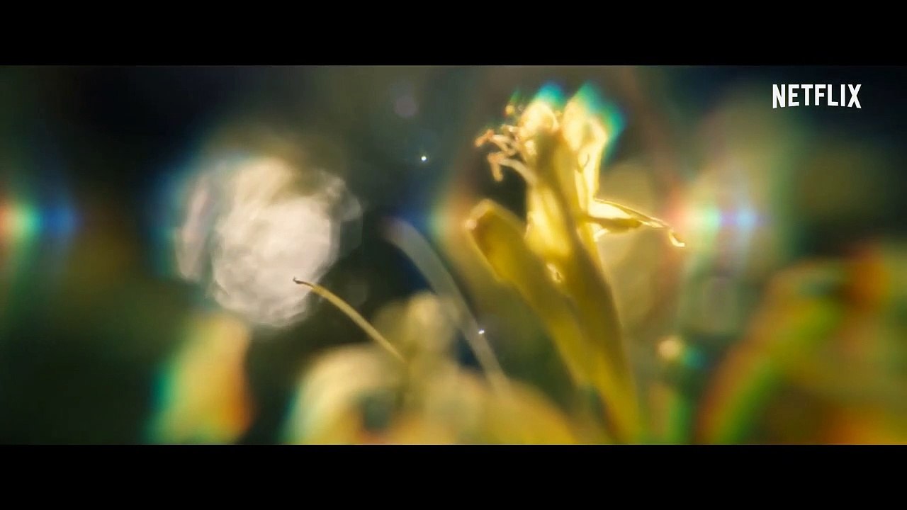 Der Spinnenkopf Trailer DF