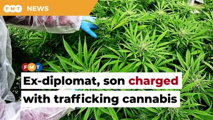 Download Video: Ex-diplomat, son charged with trafficking cannabis