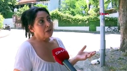 İstanbul'da yeni salgın iddiası: 4 ayda yüzlerce sokak hayvanı öldü