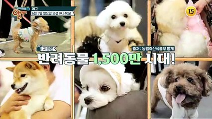 반려인과 반려동물 모두 행복해지는 서비스!_알맹이 180회 예고 TV CHOSUN 220605 방송