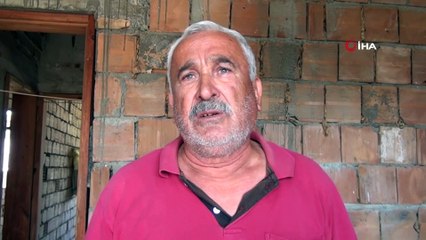 Süs kuşu sandılar! Beyaz kırlangıç görenleri şaşırttı