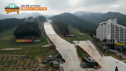 여름에 스키 눈 딱 감 GO!? 신개념으로 여름을 즐기는 포천의 여름