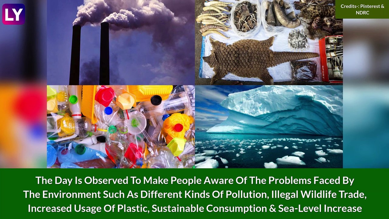 World Environment Day 2022: Date, Significance, Theme