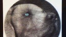 Thread Artist skillfully makes a Weimaraner on canvas with nails and threads *Amazing Time Lapse*