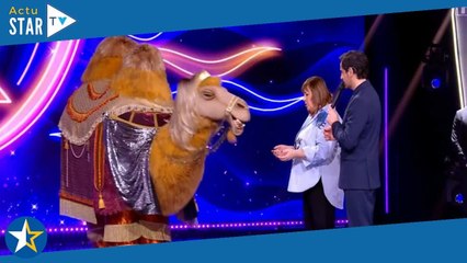 "On est des escrocs !" : NicoCapone s'amuse de la présence du Chameau dans la finale de Mask Singer