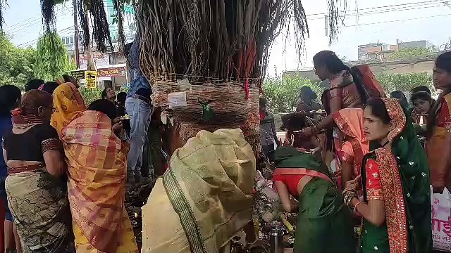 पति की लंबी आयु की कामना, महिलाओं ने किया वट सावित्री का पूजन