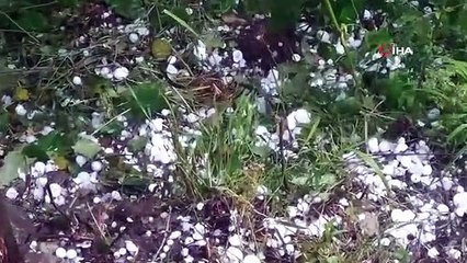 Ordu'da fındık bahçelerini ceviz büyüklüğünde dolu vurdu