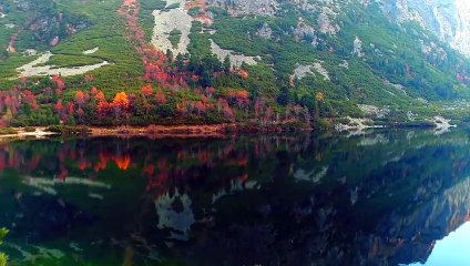 Sembrando Esperanza - Gerardo Arias - 03.06.2023