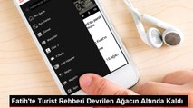 Fatih'te Turist Rehberi Devrilen Ağacın Altında Kaldı