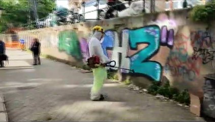 Al via il piano per l'estirpazione delle erbacce a Palermo