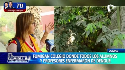 Fumigan colegio en Comas donde alumnos y profesores fueron contagiados con Dengue