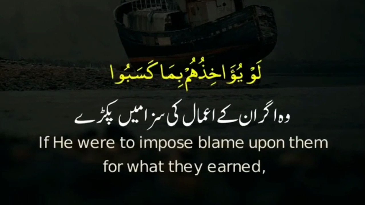 quran urdu whatsapp status _ urdu whatsapp status _ urdu islamic whatsapp status (11)