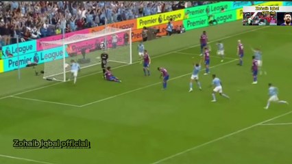 Erling Haaland All Goals and Assists 2022/23