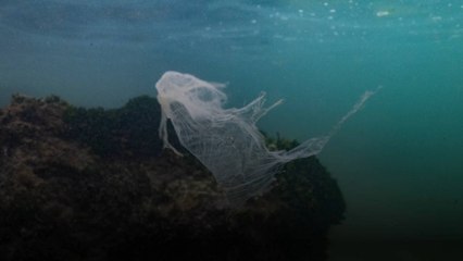 Pollution plastique : les représentants de 175 pays tentent de parvenir à un accord