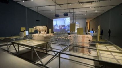 Storia della lana e rapporto uomo-animali: Formafantasma a Oslo