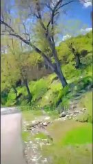 اسلامی ویڈیو