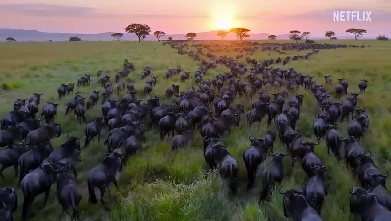 Notre planète - saison 2 Teaser VO