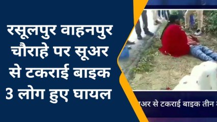 बरेली: सूअर से टकराई बेकाबू बाइक, हादसे में तीन लोग गंभीर घायल, बरेली रेफर