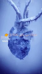 اسلامی ویڈیو