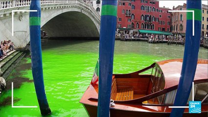 Eau verte dans le Grand canal de Venise : mystère sur l'origine de la coloration