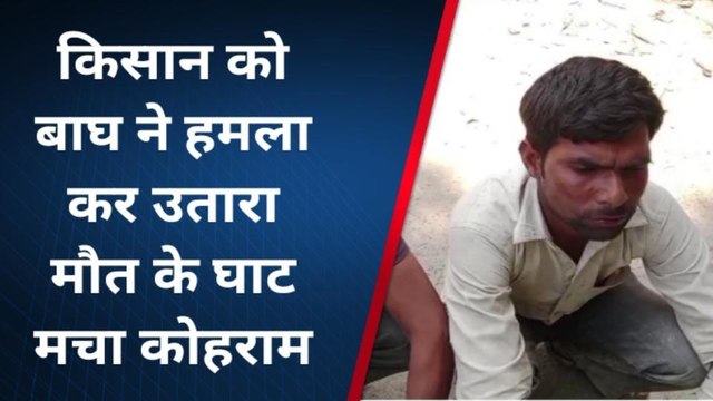 लखीमपुर खीरी: किसान को बाघ ने हमला कर उतारा मौत के घाट