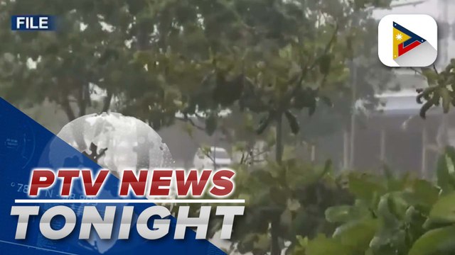 CCC urges planting of fruit-bearing trees and vegetables in backyards