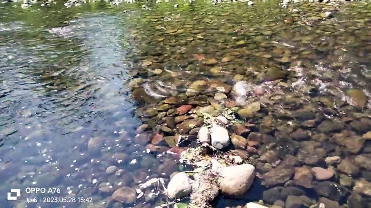 Sons relaxante d'une rivière d'eau (4K)