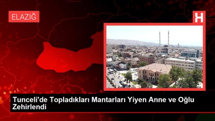 Tunceli'de Topladıkları Mantarları Yiyen Anne ve Oğlu Zehirlendi