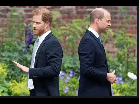 I fan reali individuano importanti indizi che suggeriscono la riconciliazione tra William e Harry