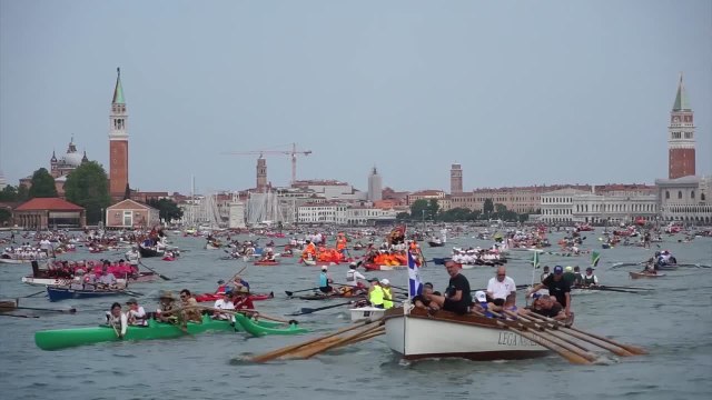 Chiazza verde fosforescente sul Canal Grande a Venezia