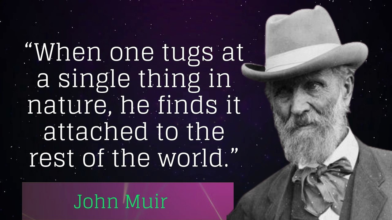 Four Quotes from John Muir - The Greatest Wealth!