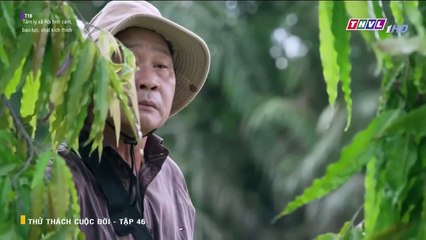 thử thách cuộc đời tập 46 - phim Việt Nam THVL1 - xem phim thu thach cuoc doi tap 47