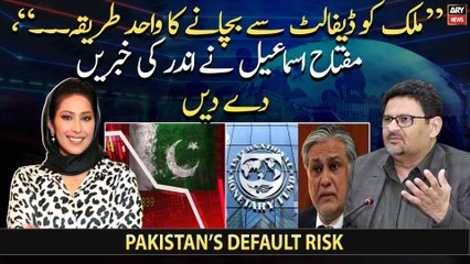 Miftah Ismail speaks up on Pakistan's default risk, economic crisis