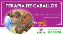 Terapia de caballos