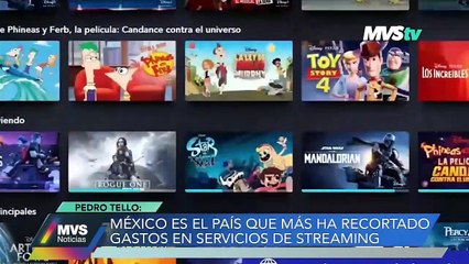 PEDRO TELLO, CONSULTOR EN ECONOMÍA