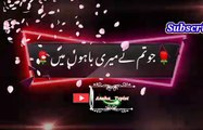 Meer baho me | Pashto poetry | pashto black screen status | ansha__typist.