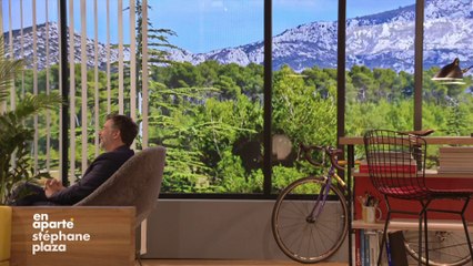 VOICI - Stéphane Plaza : cette "passion" étonnante qui aurait pu lui faire prendre une tout autre voie