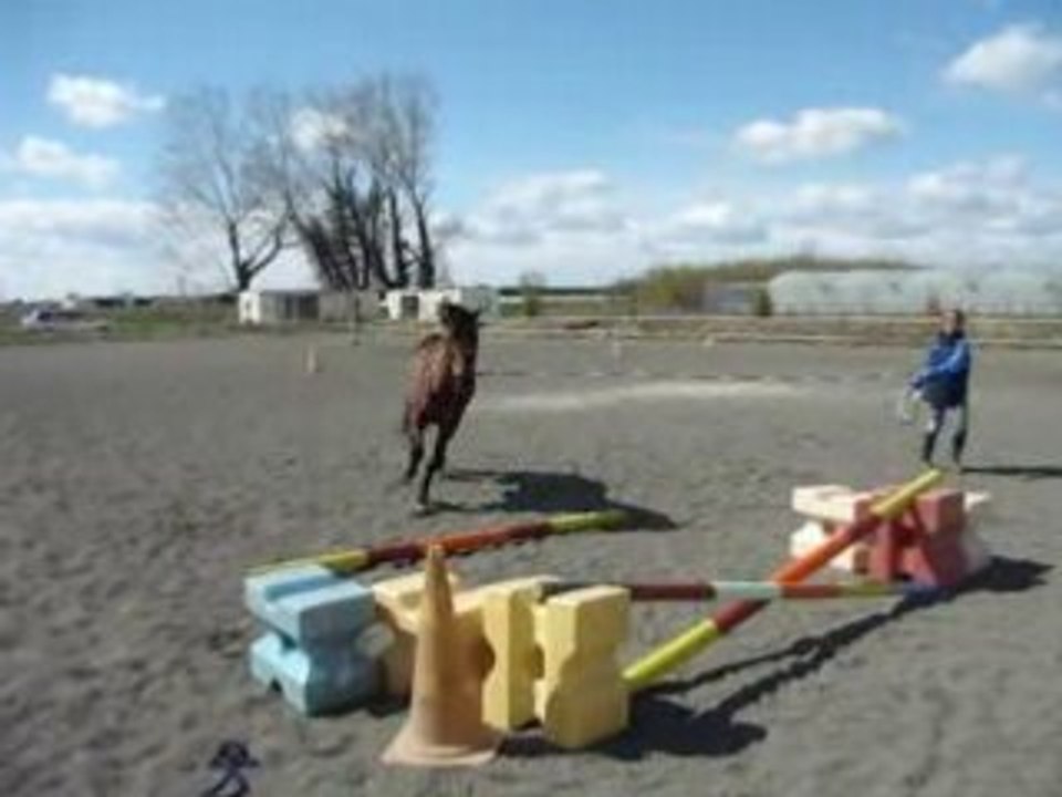 MOV02655
