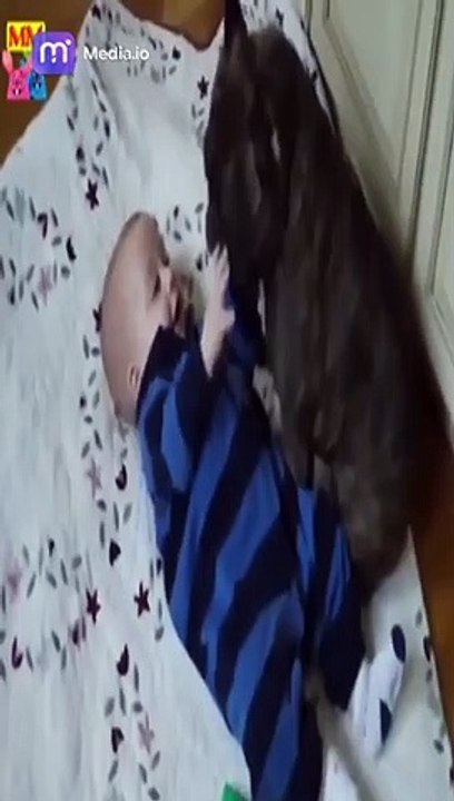 ضحك وفرح تجارب مليئة بالمرح مع الكلاب اللطيفة
