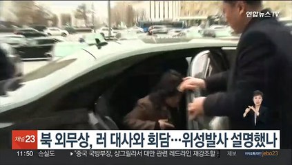 북 외무상, 러 대사와 회담…위성발사 설명했나