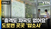 [자막뉴스] 의문의 무더기 파손…풀리지 않는 미스터리 / YTN
